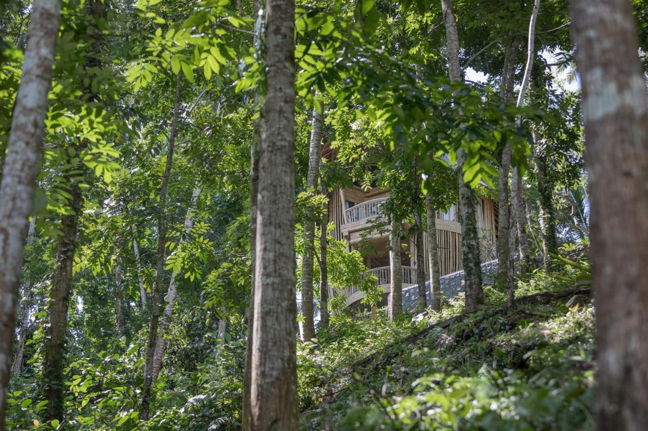 Amarta Pesagi Retreat Tabananヴィラ エクステリア 写真