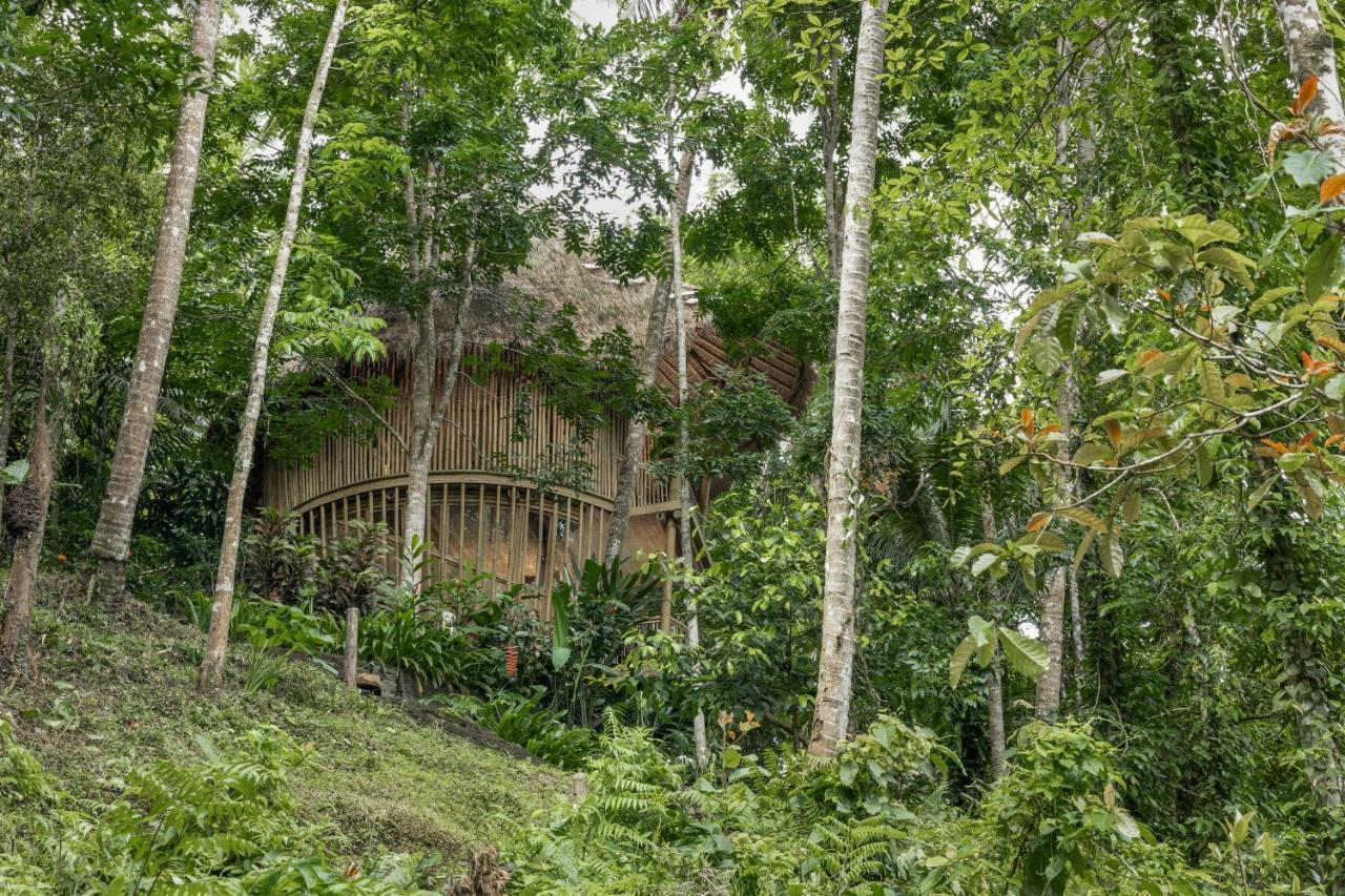 Amarta Pesagi Retreat Tabananヴィラ エクステリア 写真